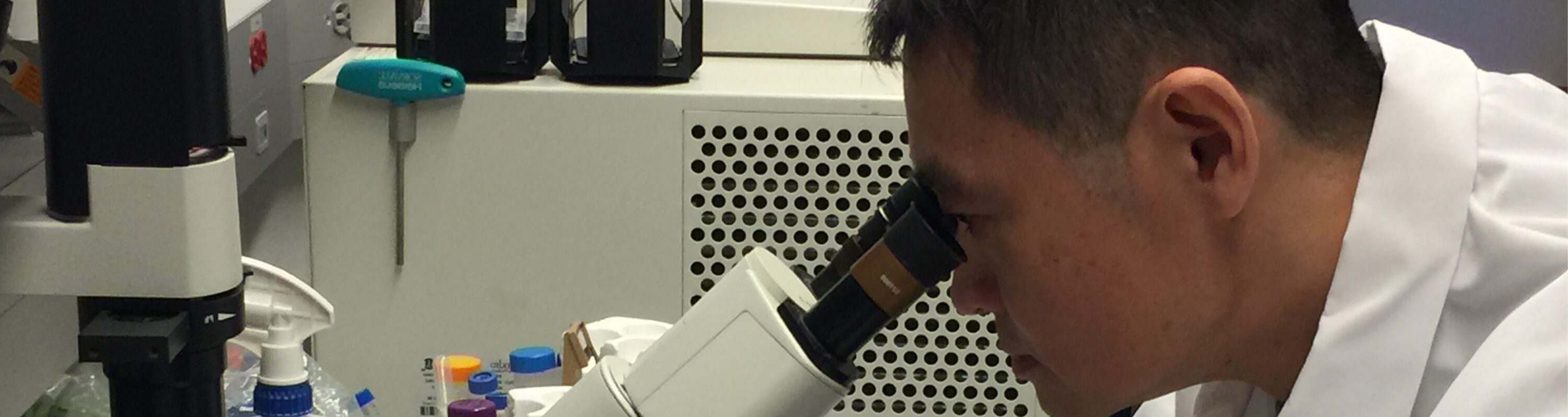 PBCC Breast Cancer Researcher